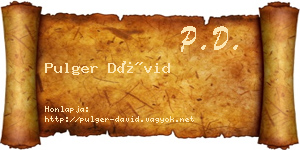 Pulger Dávid névjegykártya